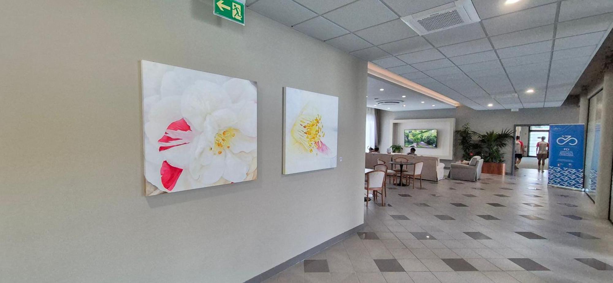 Hotel Le Cerbaie Altopascio Dış mekan fotoğraf